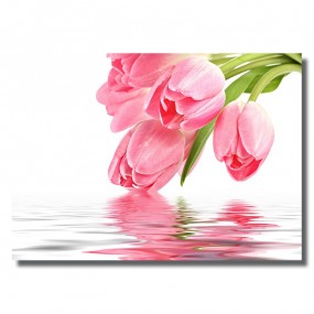 Tranh dán tường Hoa Tuylip